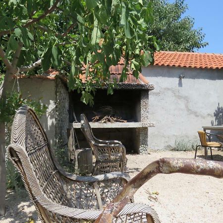 Guesthouse Dila Galovac  Экстерьер фото
