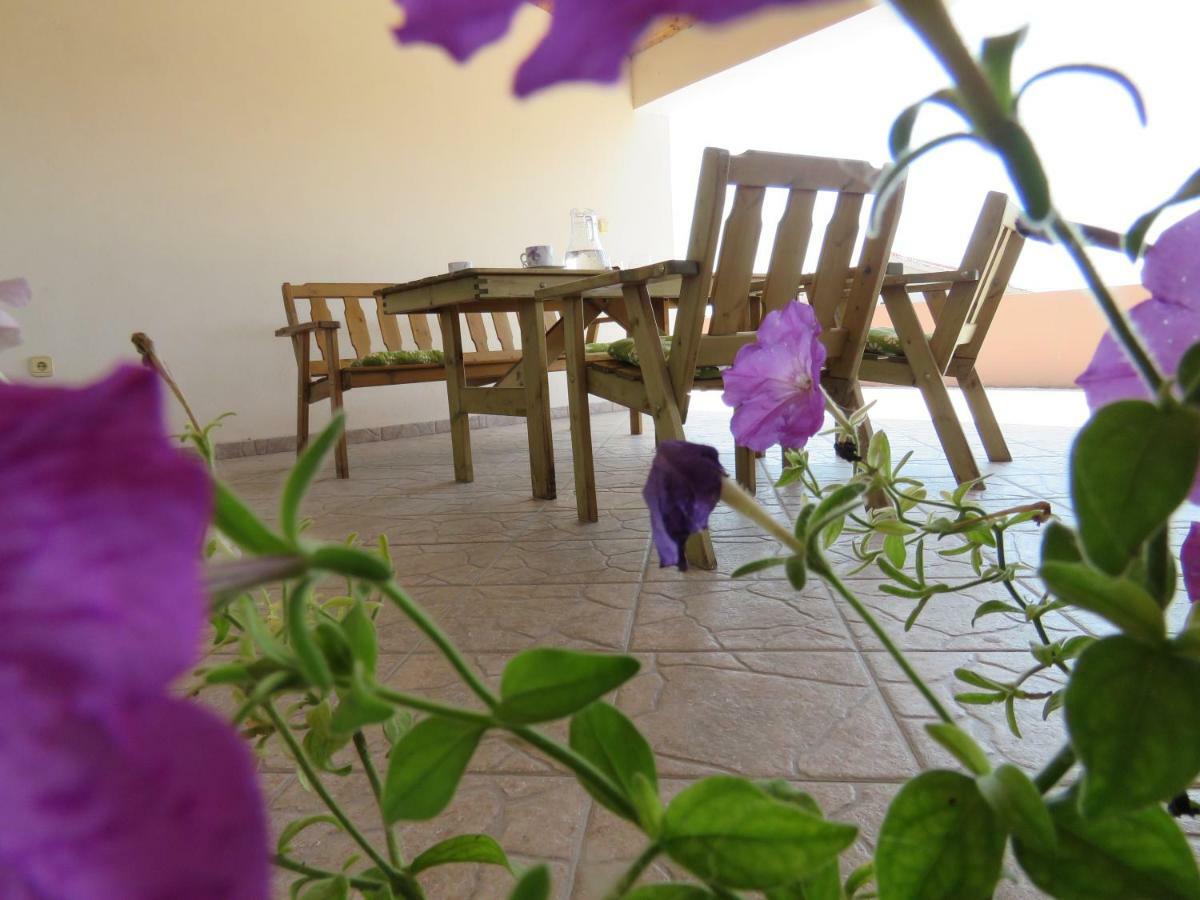 Guesthouse Dila Galovac  Экстерьер фото